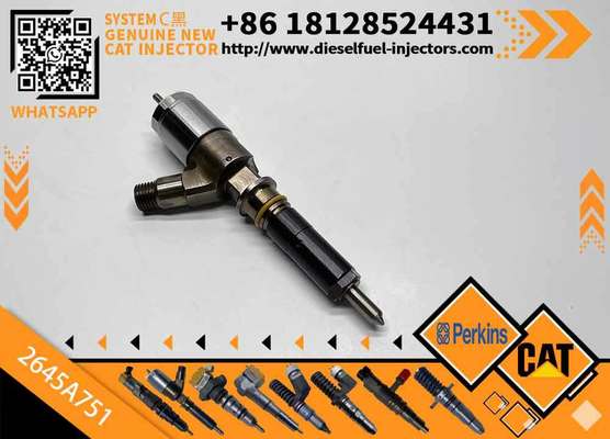 High Quality New Fuel System Parts Diesel Fuel Injector 320-0655 2645A751 1106D-E66TA for Caterpillar CAT C6.6 Perkins