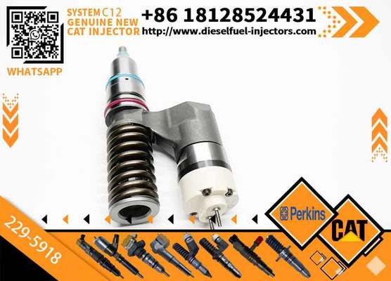 Applies to Cat C10 ENGINE 223-5327 229-5918 233-5327 874-822 0R-8773 10R-1268 FUel Injectors