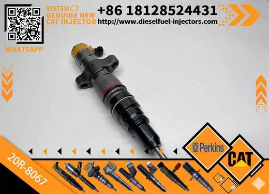 Diesel Engine Parts Common Rail Fuel Injector 20R-8066 for CAT C7 Diesel Engine CNDIP Factory Price