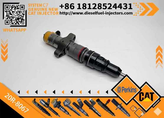 Diesel Engine Parts Common Rail Fuel Injector 20R-8066 for CAT C7 Diesel Engine CNDIP Factory Price