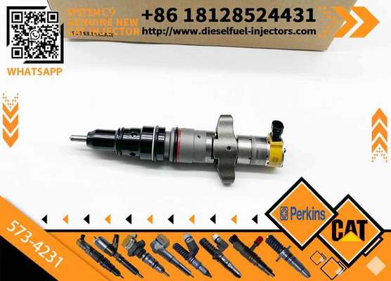 High Quality CAT Diesel Common Rail Injector 217-2570 573-4231 557-7634 293-4074 for Engine Engine