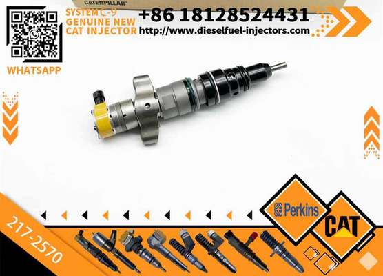 C7 C9 Fuel Injector 217-2570 235-2888 2352888 387-9433 3879433 293-4071 387-9427 3879427 263-8218 2638218